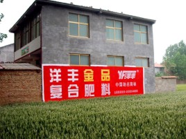 弥渡如何让墙体广告展现最大化效果