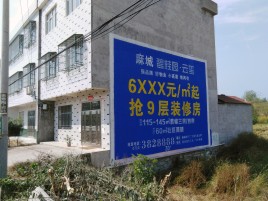 弥渡墙体广告质量分析